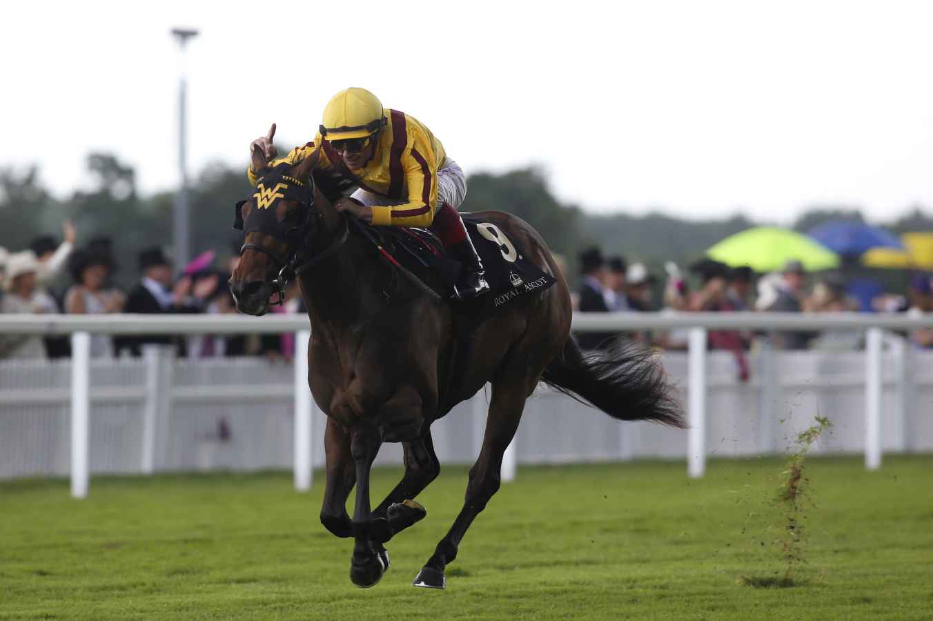 Lady Aurelia